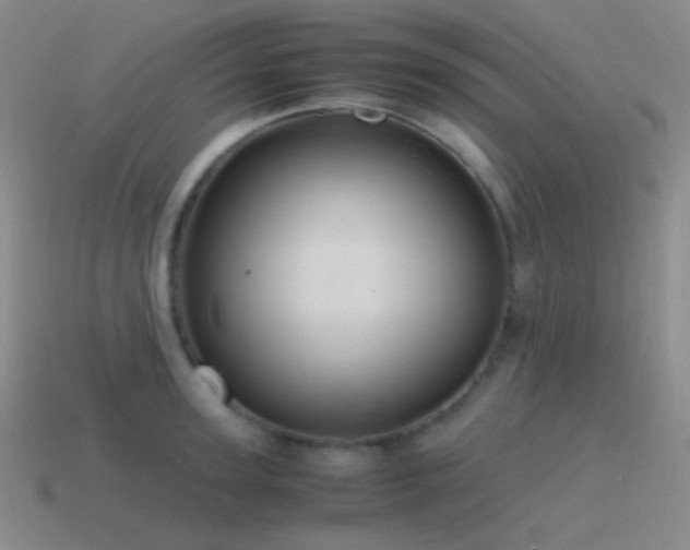 X0000115480947200911061215