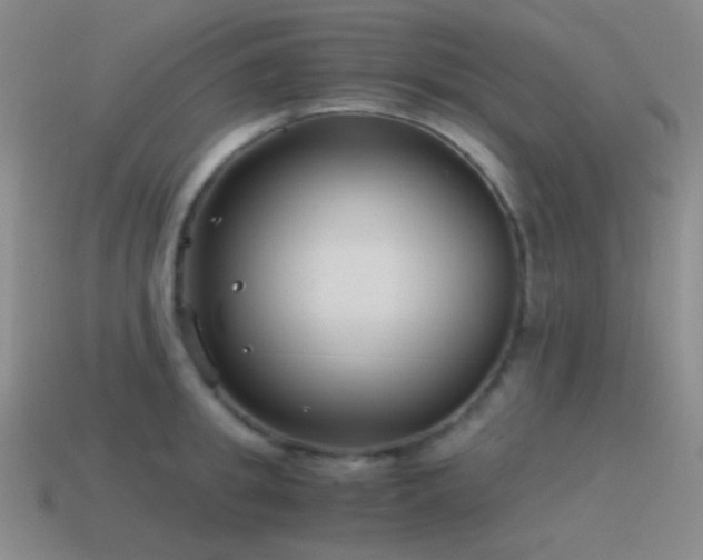 X0000115480949200911061215