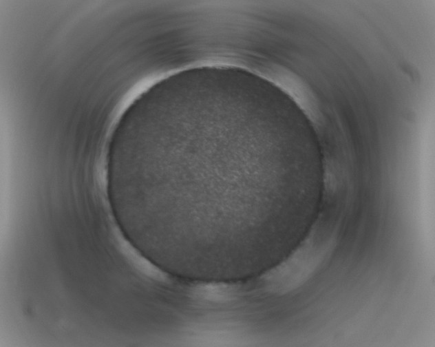 X0000115480950200911061215