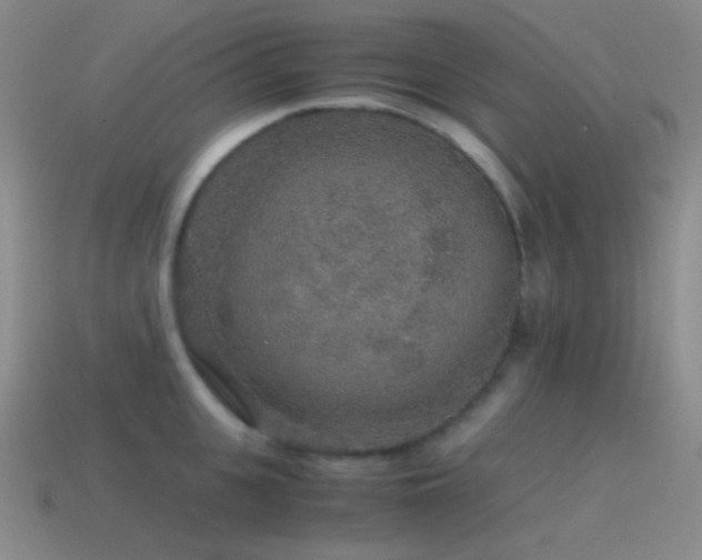 X0000115480951200911061215
