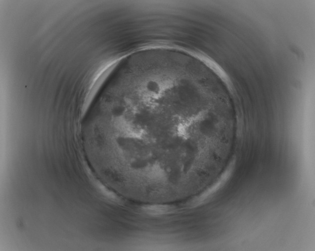 X0000115480953200911061215
