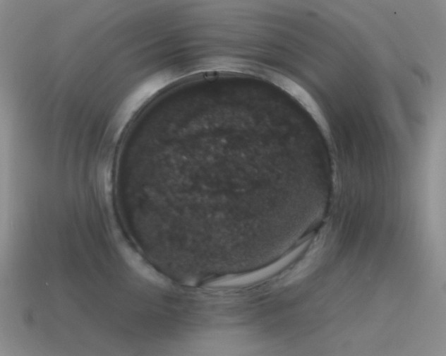 X0000115480954200911061215