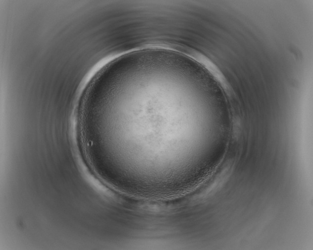 X0000115480955200911061215
