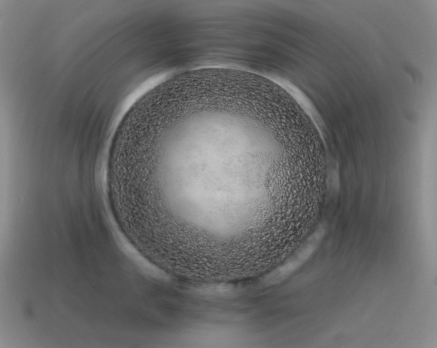 X0000115480957200911061215