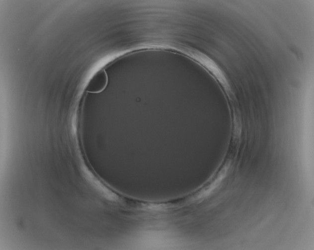 X0000115480958200911061215
