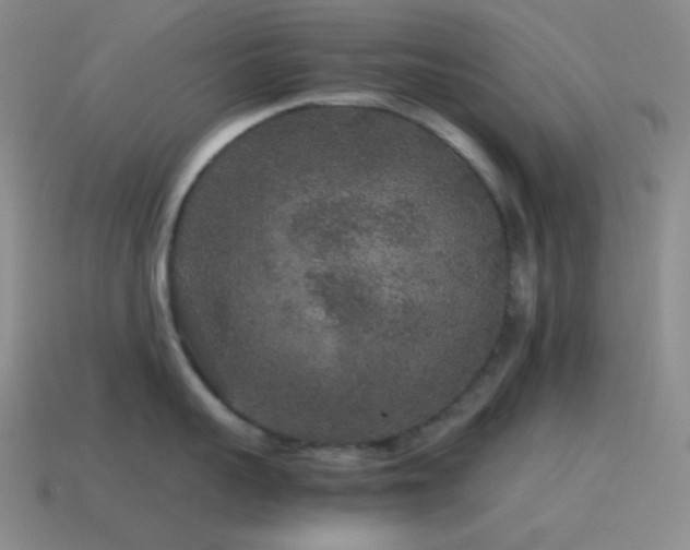 X0000115480959200911061215
