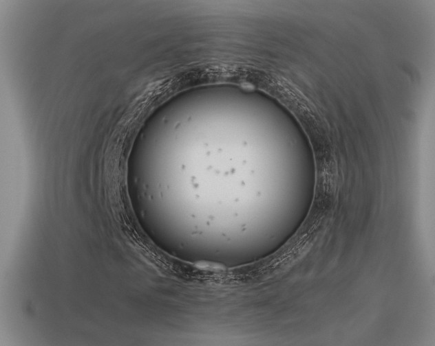 X0000115480961200911061214