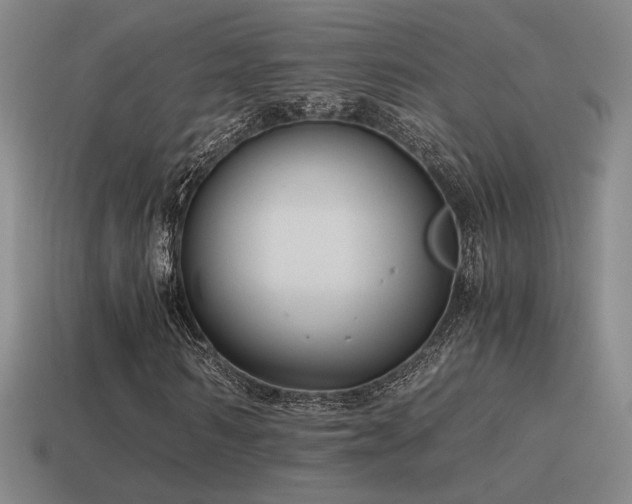 X0000115480962200911061214