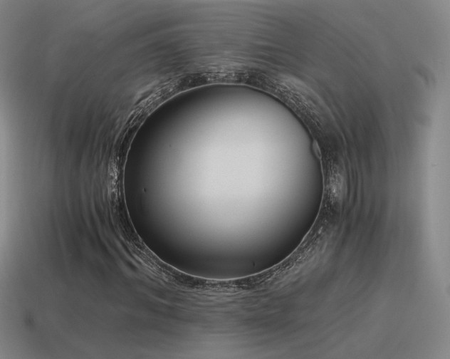 X0000115480964200911061214