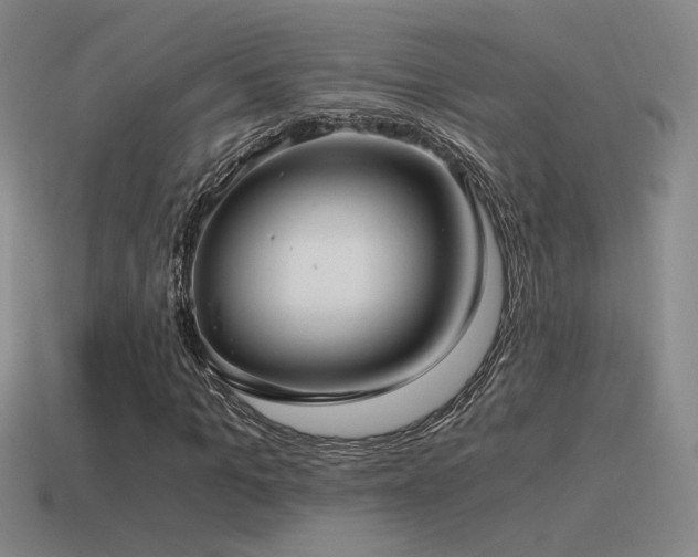 X0000115480965200911061214