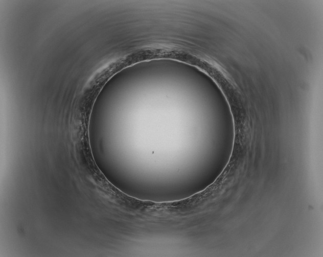X0000115480967200911061214