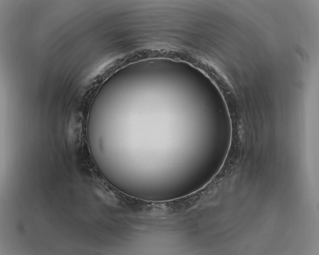 X0000115480968200911061214