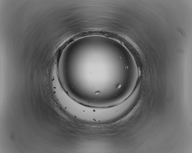 X0000115480969200911061214