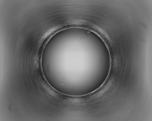 X0000115480970200911061214