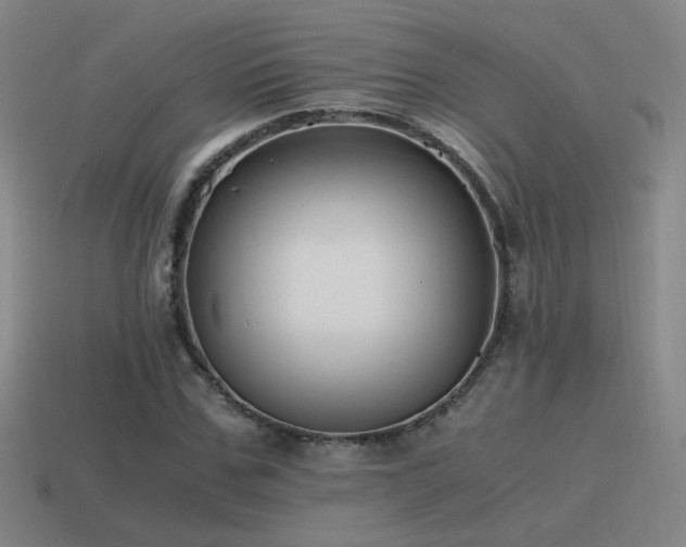 X0000115480971200911061214