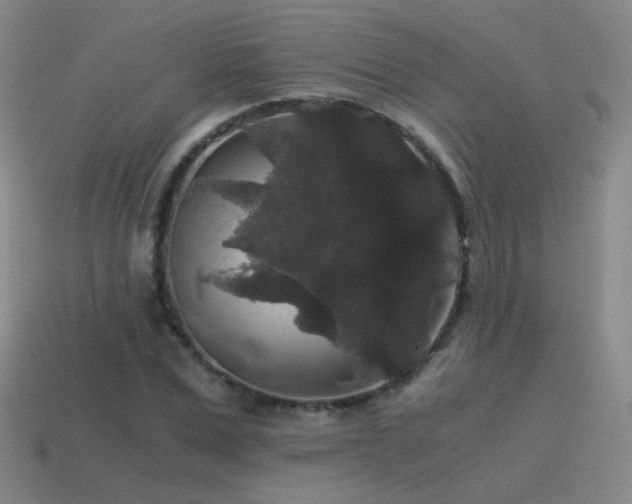 X0000115480975200911061214