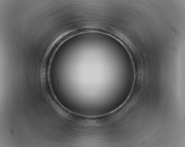X0000115480976200911061214