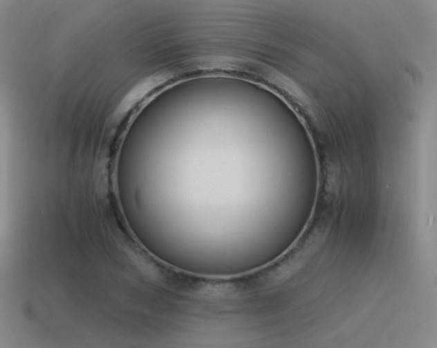 X0000115480978200911061214