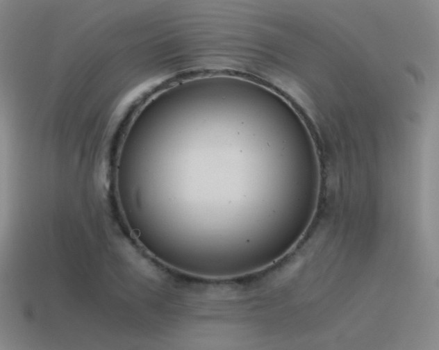 X0000115480979200911061214