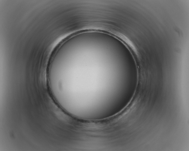 X0000115480980200911061214