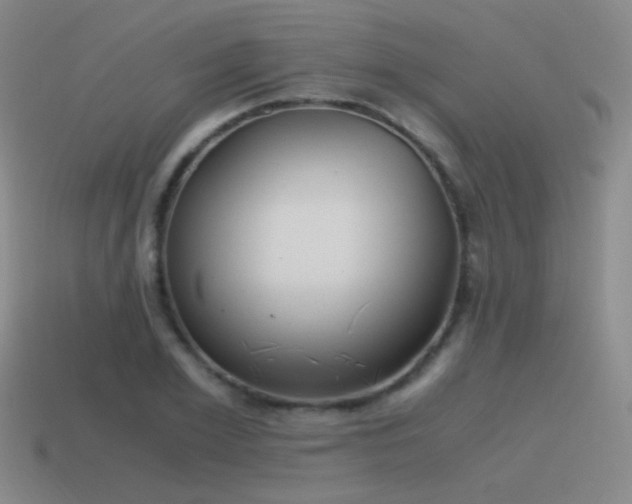 X0000115480981200911061214