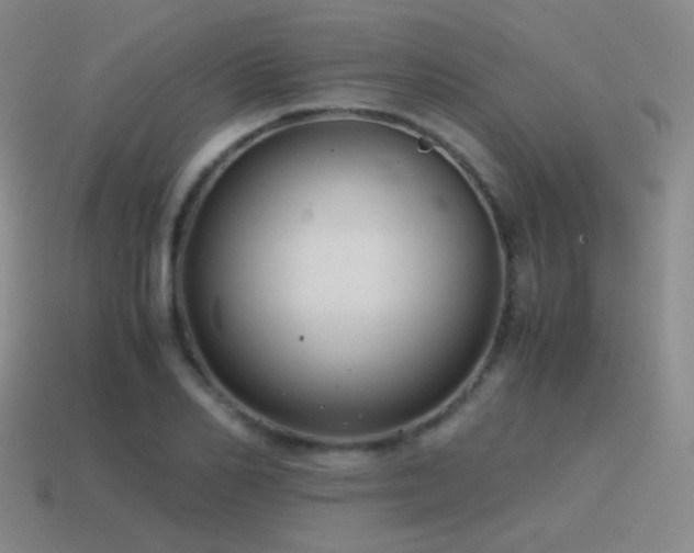 X0000115480982200911061214