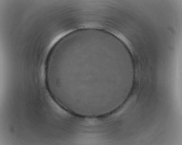 X0000115480983200911061214