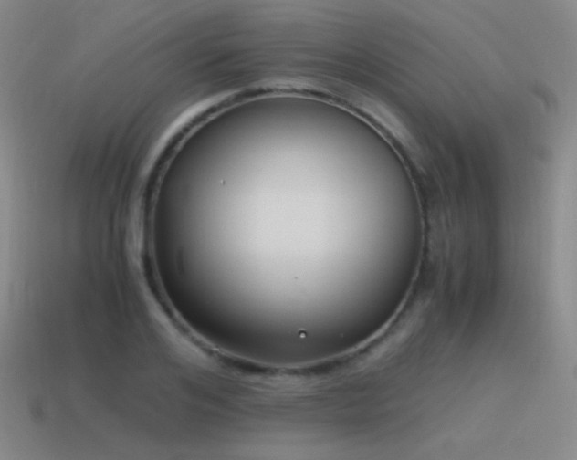 X0000115480984200911061214