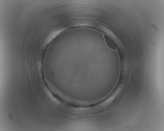 X0000115480985200911061214