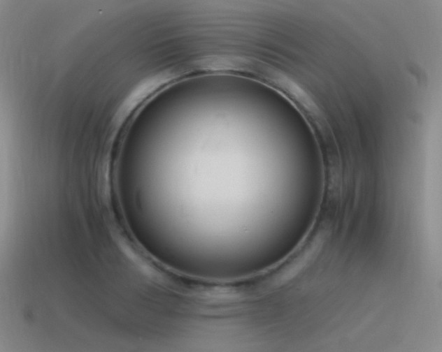 X0000115480986200911061214