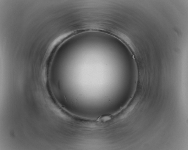 X0000115480987200911061214