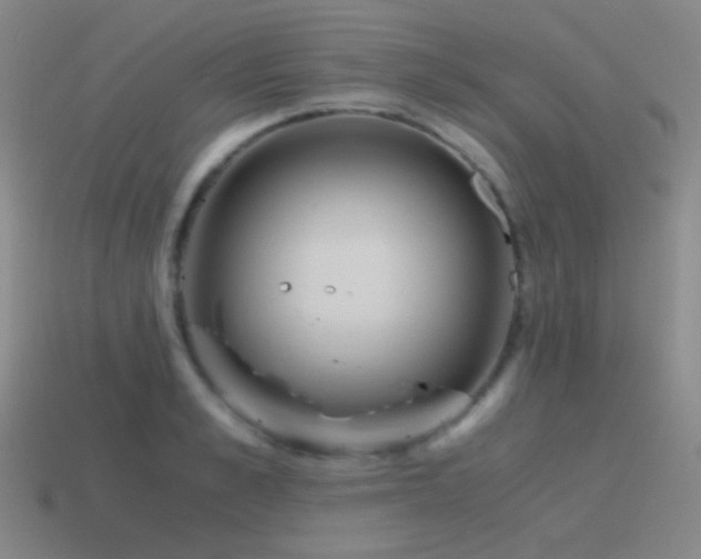 X0000115480989200911061214