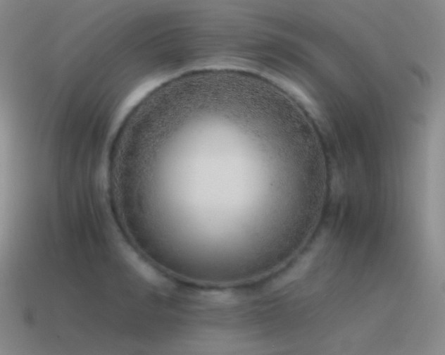 X0000115480990200911061214