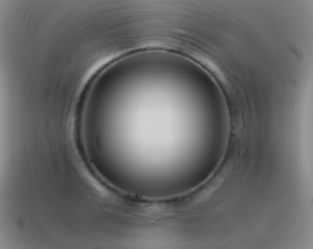 X0000115480991200911061214