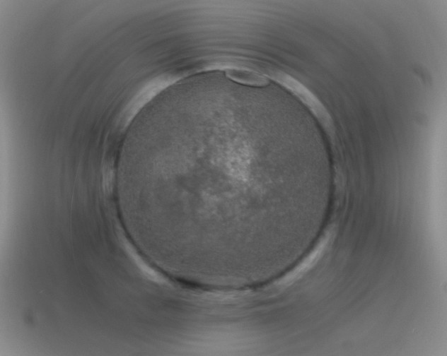 X0000115480993200911061214