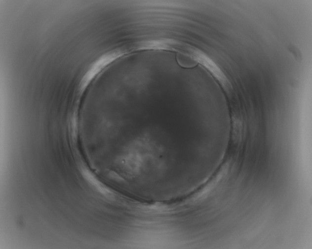 X0000115480994200911061214
