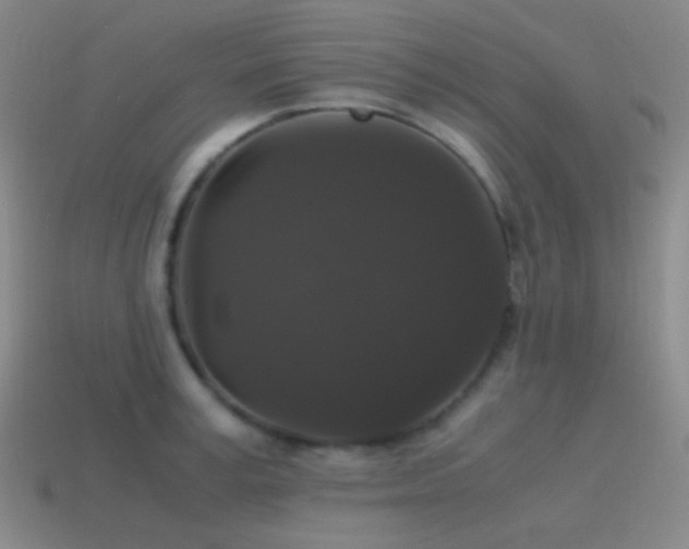 X0000115480995200911061214