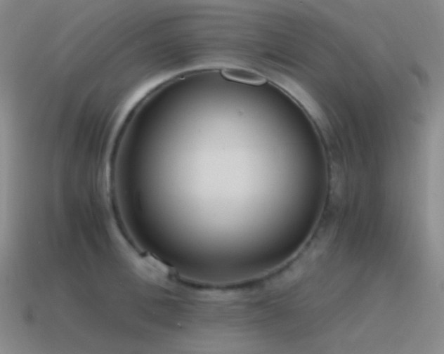 X0000115480996200911061214