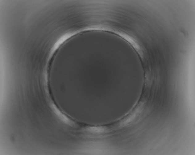 X0000115480998200911061214