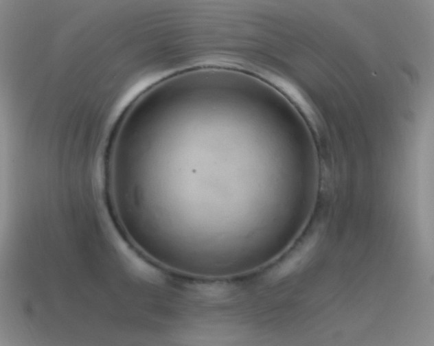 X0000115480999200911061214
