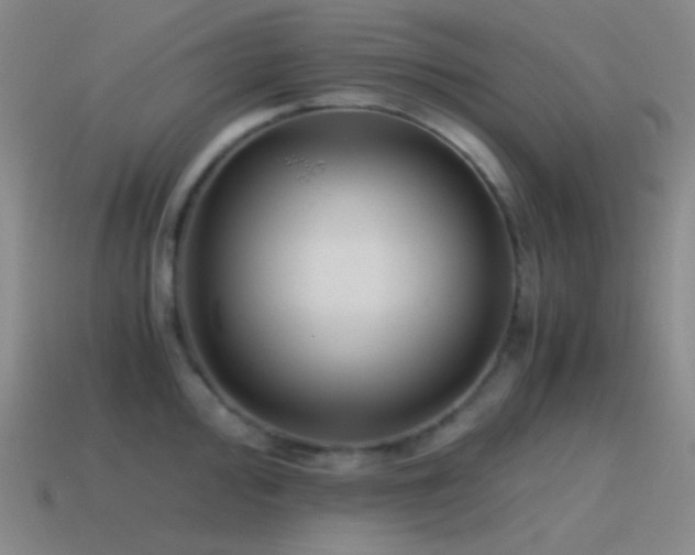 X0000115481000200911061214