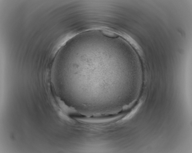 X0000115481001200911061214
