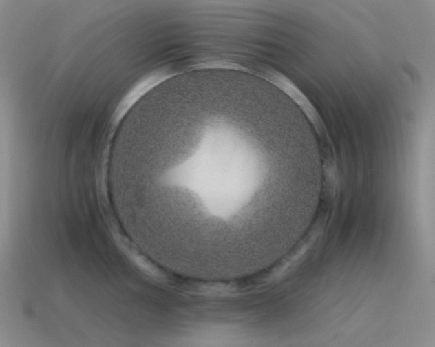 X0000115481002200911061214