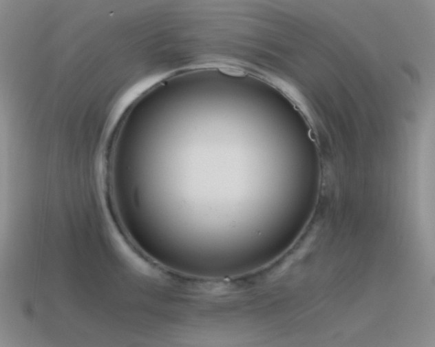 X0000115481003200911061214