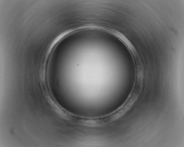 X0000115481004200911061214
