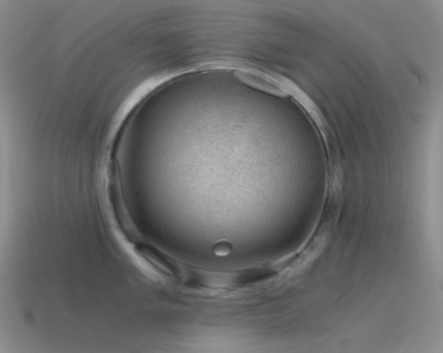 X0000115481005200911061213