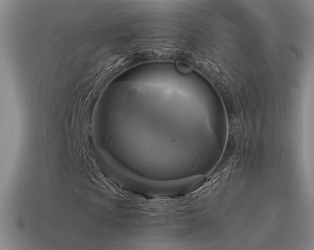 X0000115481009200911061213