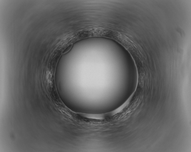 X0000115481010200911061213