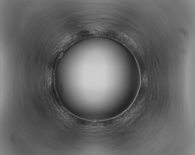 X0000115481012200911061213