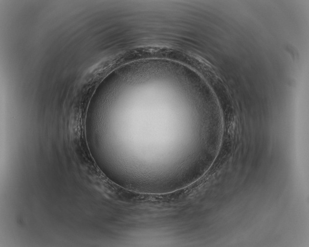 X0000115481014200911061213